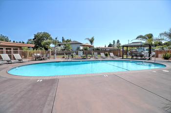 Sparkling pool 
